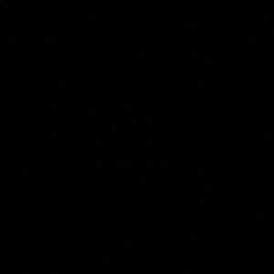 Meet your Posher, Anabela